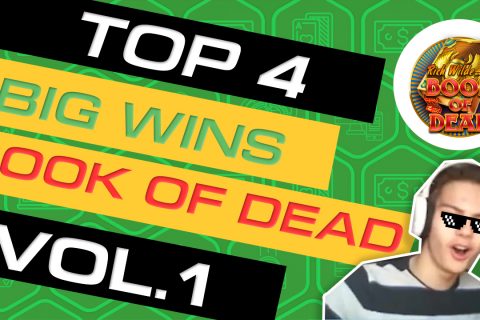 Book of dead top  big wins vol